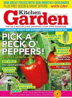 Kitchen Garden – August 2020