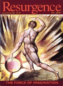 Resurgence & Ecologist – Resurgence, 204 – January – Febriary 2001