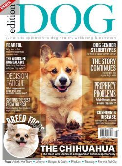 Edition Dog – Issue 24 – 29 October 2020