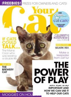 Your Cat – June 2021