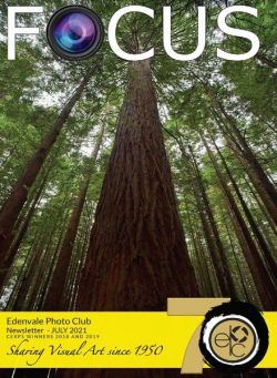 Focus Edenvale Newsletter – July 2021