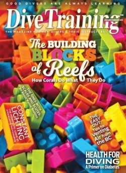 Dive Training – January 2018