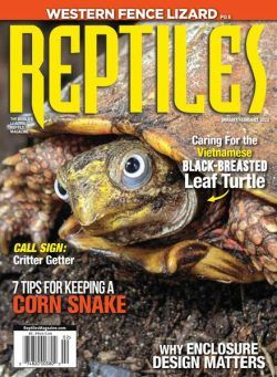 Reptiles – January-February 2022