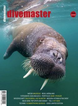 Divemaster – Januar-Marz 2023