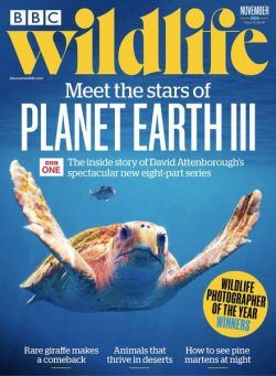 BBC Wildlife – November 2023