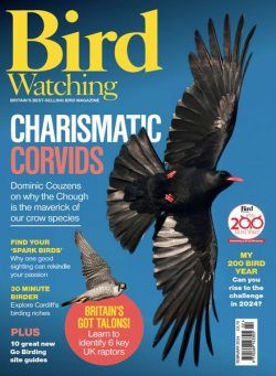 Bird Watching UK – February 2024