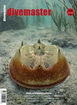 DiveMaster – Januar-Marz 2024