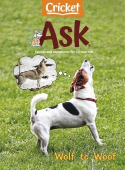 Ask – February 2024