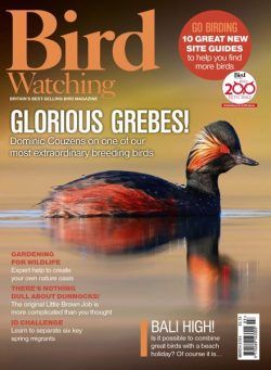 Bird Watching UK – March 2024