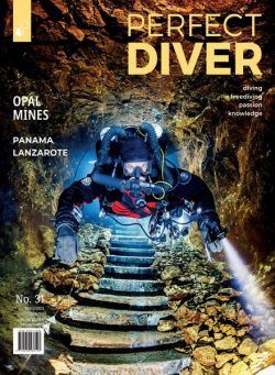 Perfect Diver – January-February 2024