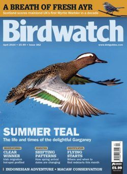 Birdwatch UK – April 2024