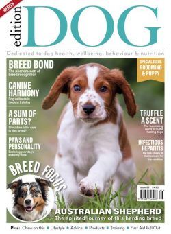 Edition Dog – Issue 66 – 30 March 2024