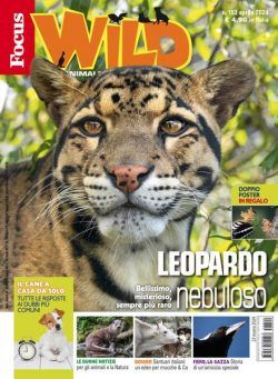 Focus Wild – Aprile 2024