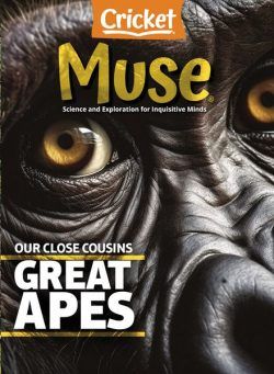 Muse – April 2024