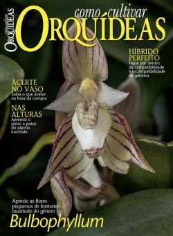 Como Cultivar Orquideas – Abril 2024