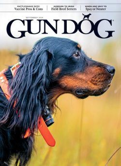 Gun Dog – September 2024
