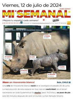 Mi Semanal – 12 Junio 2024