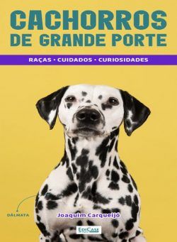 Minibooks EdiCase – 8 Julho 2024