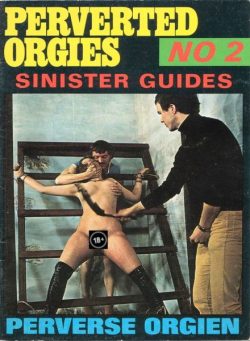 Perverted Orgies – N 2