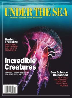Under The Sea – Colorful Secrets of the Briny Deep 2025