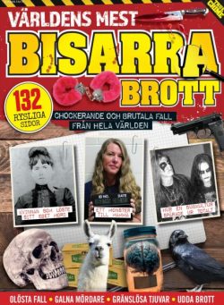 Verklighetens Varsta Brott – 11 April 2025