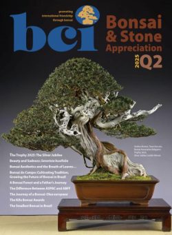 BCI Bonsai & Stone Appreciation Magazine – Q2 2025